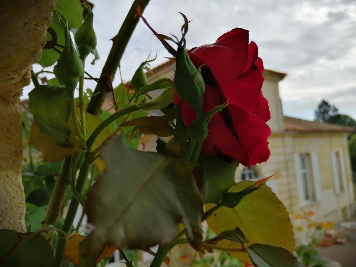 Domaine Du Chauvet Hotel Sainte-Eulalie  ภายนอก รูปภาพ